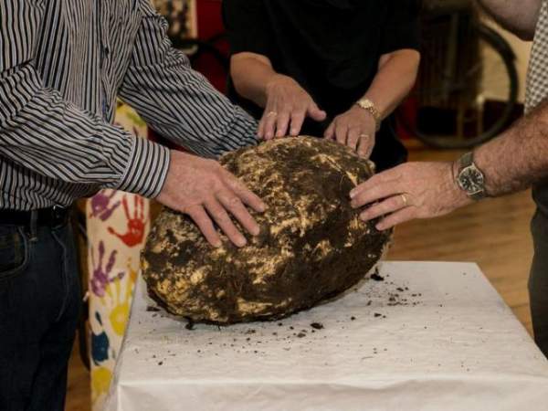 Tìm thấy bánh 100 năm “gần như vẫn ăn được” ở Nam Cực 2