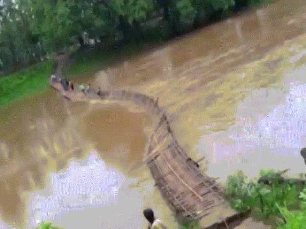 Rợn người cảnh học sinh vượt sông dữ tới trường ở Ấn Độ