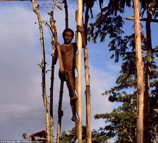 Ảnh hiếm về bộ lạc sống vắt vẻo trên nhà cây cao 9m 5
