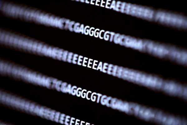 Bất ngờ: Mã độc gắn trên ADN đã lây nhiễm vào chính máy tính phân tích nó 2