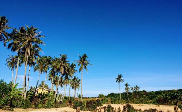 Check-in ngay 15 địa điểm sống ảo cực chất trên đảo Lý Sơn 21