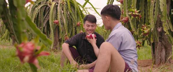 Phim đồng tính Việt bị tố ăn cắp kịch bản, đạo diễn nói gì? 2