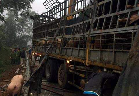 Xôn xao chuyện xe chở lợn bị lật, người dân thi nhau “hôi của” ở Lạng Sơn 2