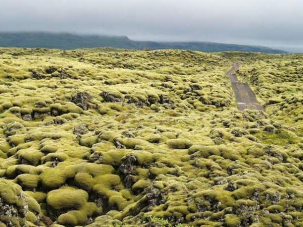 Khám phá bờ biển xanh nhân tạo khiến bạn nhất định phải đến Iceland trước khi về già 9