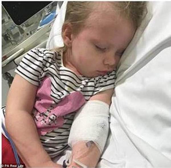 Bé gái 3 tuổi suýt chết vì một vết mèo cào 2