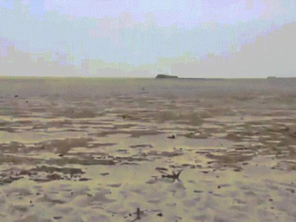 Bãi biển tái xuất sau 12 năm biến mất ở Ireland 2