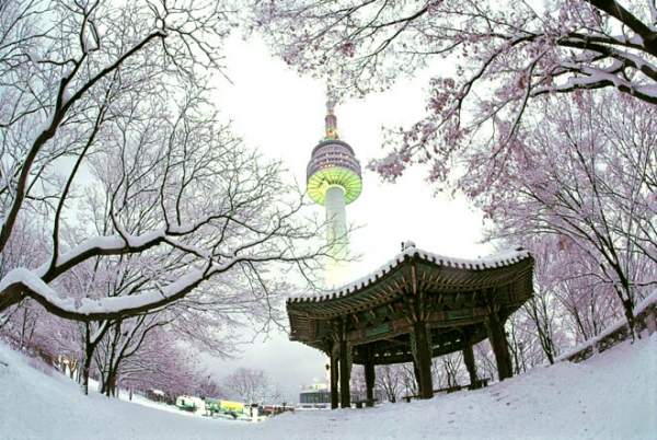 Thiên đường trượt tuyết ấn tượng tại Hàn Quốc 5