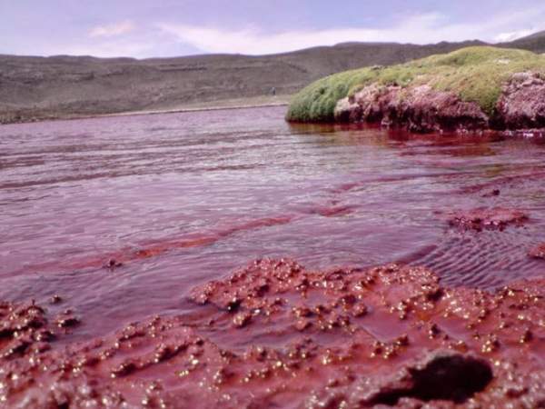 Giải mã bí ẩn hồ nước có màu đỏ như máu ở Chile 2