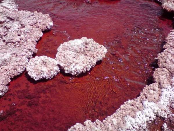 Giải mã bí ẩn hồ nước có màu đỏ như máu ở Chile 6
