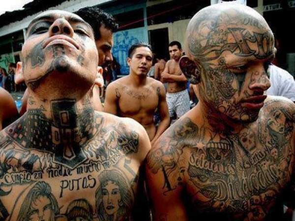 Mexico: 3.000 xác nạn nhân bị băng nhóm ma túy ngâm axit 3