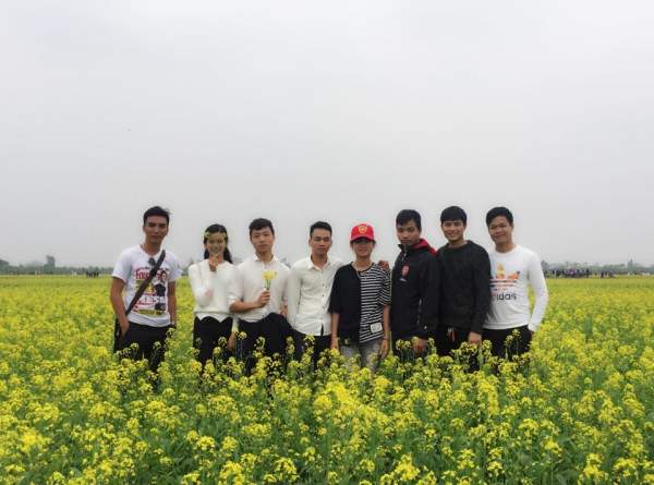 Ngẩn ngơ ngắm cánh đồng hoa cải vàng nở rộ ở ngoại thành Hà Nội 8