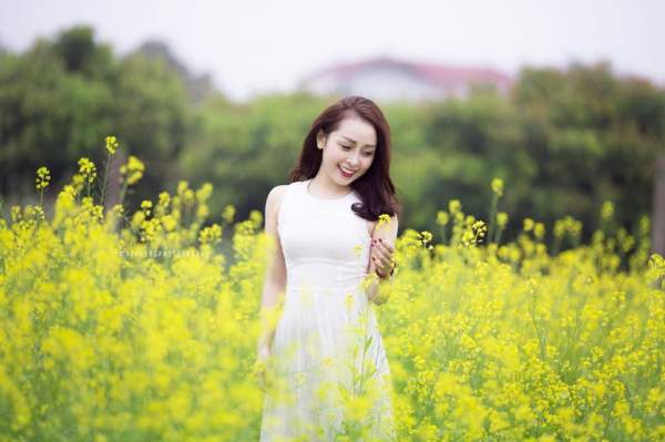 Ngẩn ngơ ngắm cánh đồng hoa cải vàng nở rộ ở ngoại thành Hà Nội 3