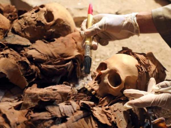 Phát hiện xác ướp Ai Cập 3.500 năm “gần như hoàn hảo” 5