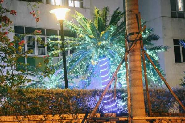Giáng sinh ở Sài Gòn: "Lạc lối" ở 2 khu phố nhà giàu 9