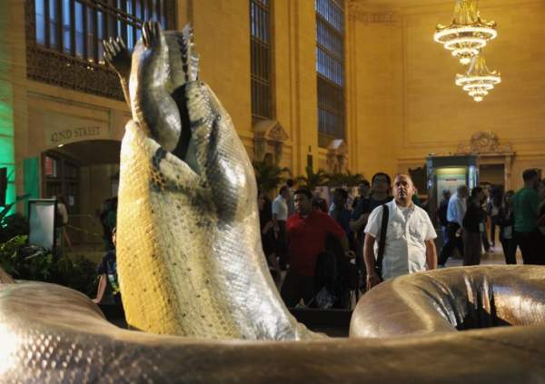 Mãng xà cổ đại khổng lồ nặng 1,5 tấn, chuyên ăn thịt cá sấu 2
