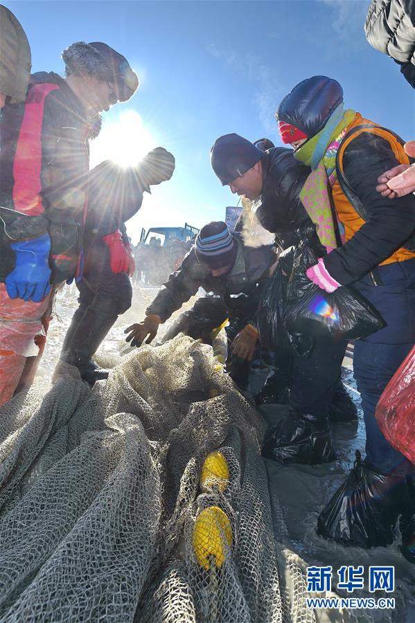 Du khách đổ sô chiêm ngưỡng bức tường cá lạ lùng giữa hồ băng 8