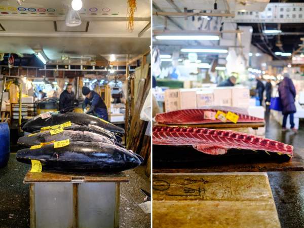 Bên trong chợ cá tươi ngon nhất thế giới, bán lên tới triệu USD/con 5
