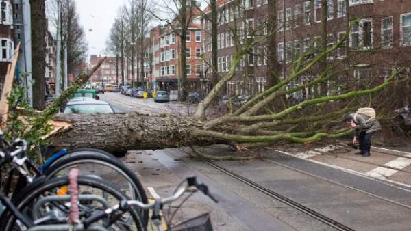 Hà Lan: Gió cực mạnh thổi người bay như lá cây 2