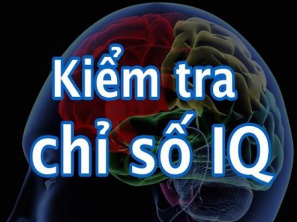 Kiểm tra chỉ số IQ bằng 5 câu đố thách thức não bộ 2