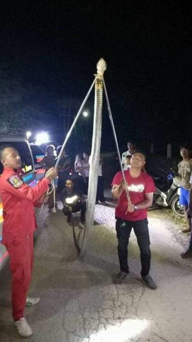 Thái Lan: Kinh hãi kổ mang chúa khổng lồ 5 mét mò vào nhà dân 2