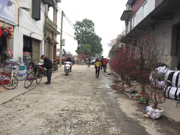Dân làng Quan Độ phủ bạt lên nóc nhà đón Tết sau vụ nổ rung chuyển Bắc Ninh