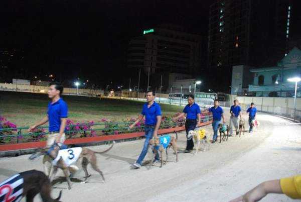 Đầu năm Mậu Tuất đi xem đua chó ở trường đua lớn nhất Đông Nam Á 4