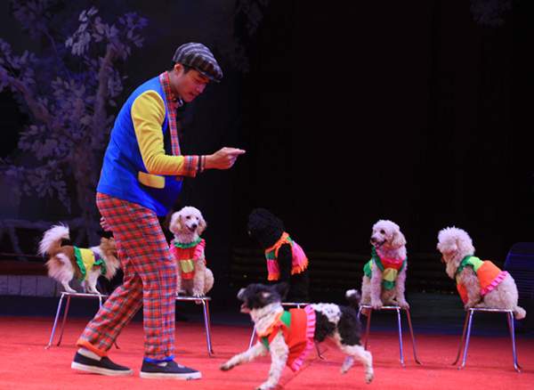 Gặp nữ diễn viên biểu diễn xiếc chó lâu nhất Việt Nam 3