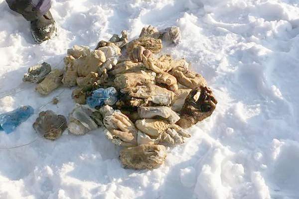 Phát hiện 54 bàn tay người bị chặt lìa trên tuyết ở Nga