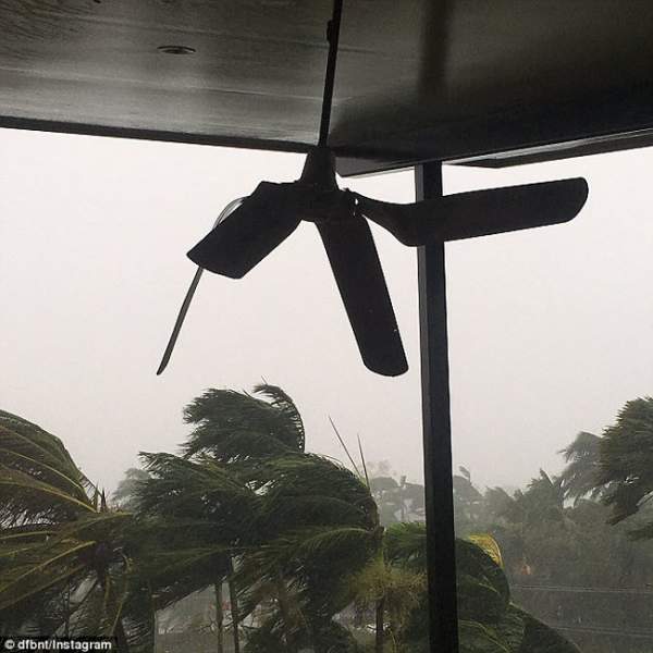 Xem siêu bão nhổ, cuốn bay cây cổ thụ ở Australia 4