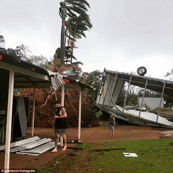 Xem siêu bão nhổ, cuốn bay cây cổ thụ ở Australia 3
