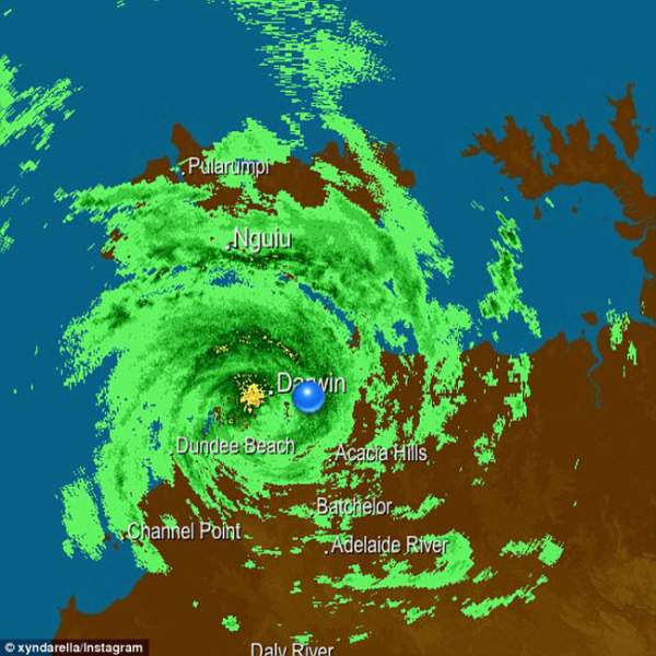 Xem siêu bão nhổ, cuốn bay cây cổ thụ ở Australia 6