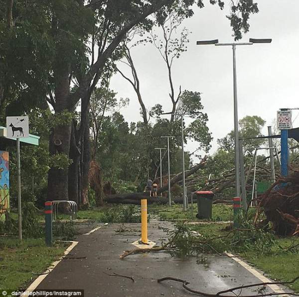 Xem siêu bão nhổ, cuốn bay cây cổ thụ ở Australia 2