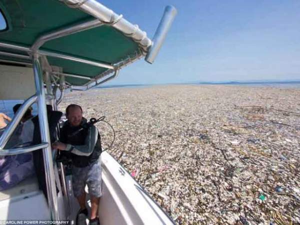 Đảo rác thải bằng diện tích 3 nước trên Thái Bình Dương 2