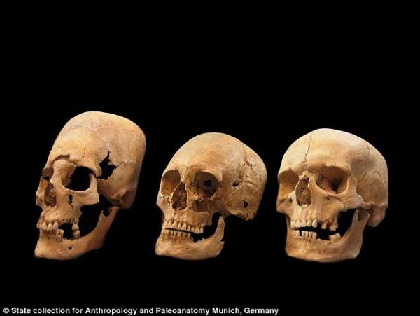 Vì sao phụ nữ Trung cổ có hộp sọ giống người ngoài hành tinh? 5