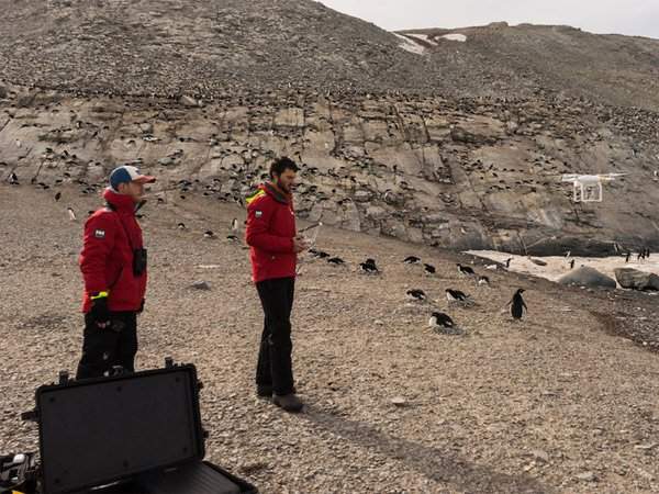 Bất ngờ phát hiện "siêu quần thể" hơn 1,5 triệu con chim cánh cụt chưa từng biết ở Nam Cực 3