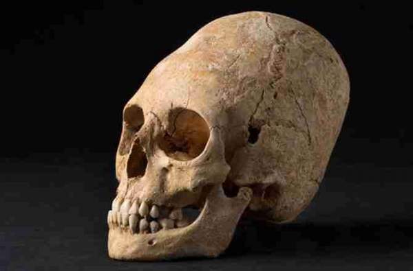 Vì sao phụ nữ Trung cổ có hộp sọ giống người ngoài hành tinh? 7