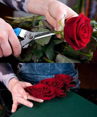 Cách cắm hoa hồng hình trái tim cho ngày Valentine 2