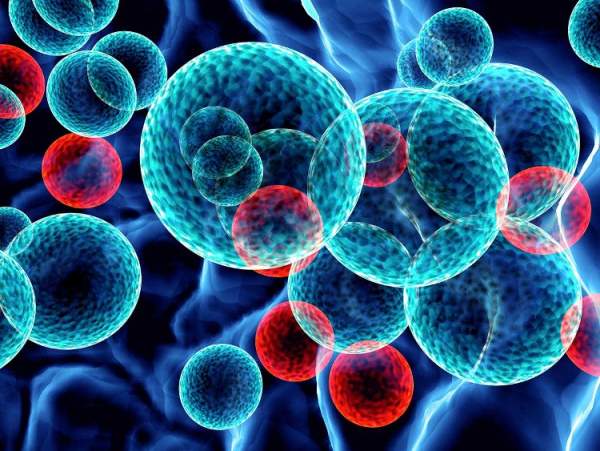 Phát triển công nghệ nano tìm diệt tế bào ung thư