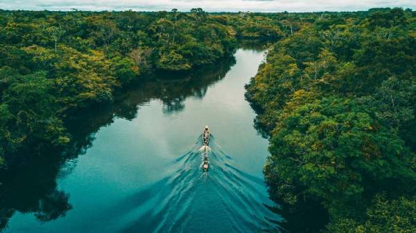 Vì sao sông Amazon dài hơn 6.000km không có cầu bắc ngang? 2