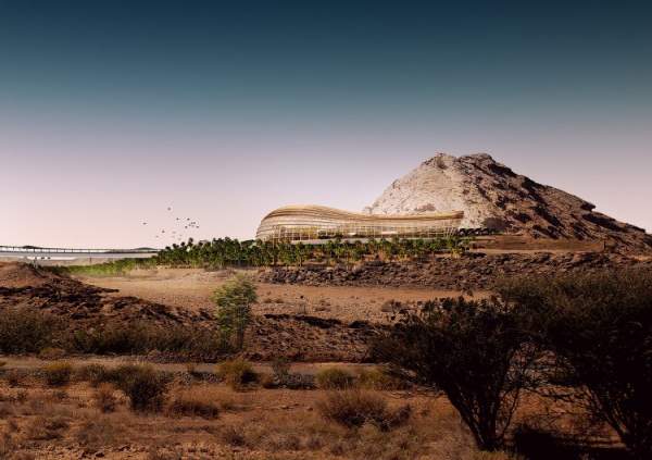 Vườn thực vật lớn nhất thế giới trên sa mạc Oman 2