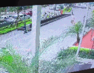 Clip “trộm chó kéo lê cả chủ và chó trên đường Hà Nội” gây phẫn nộ tuần qua