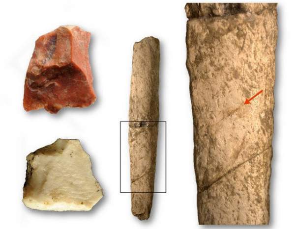 Bằng chứng sự xuất hiện của tộc người ở quần đảo Philippines 700.000 năm trước 2