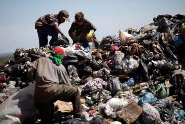 Tìm thấy sinh vật giúp tiêu hủy rác thải nhựa nhanh nhất 2