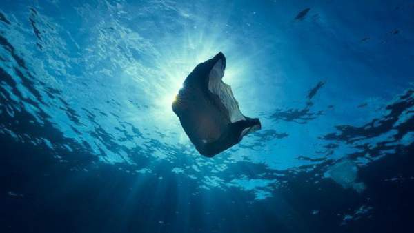 Vì sao động vật biển không thể ngừng ăn rác nhựa? 3