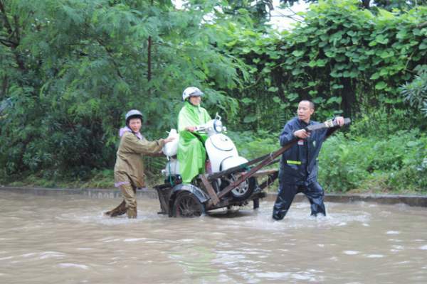 Dịch vụ mò biển số, chở người bằng xe bò “hốt” bạc triệu ngày mưa lũ 3