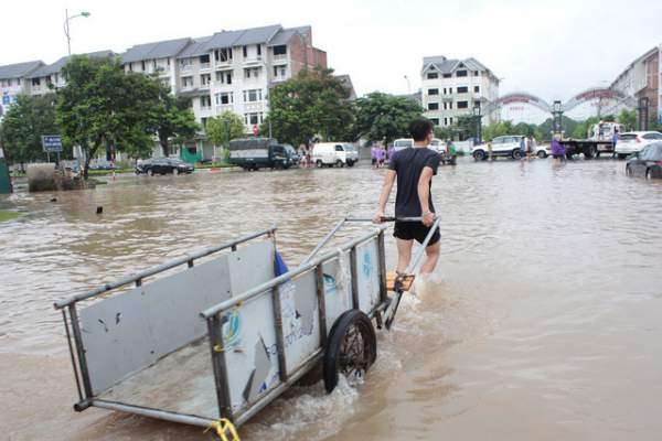 Dịch vụ mò biển số, chở người bằng xe bò “hốt” bạc triệu ngày mưa lũ 10