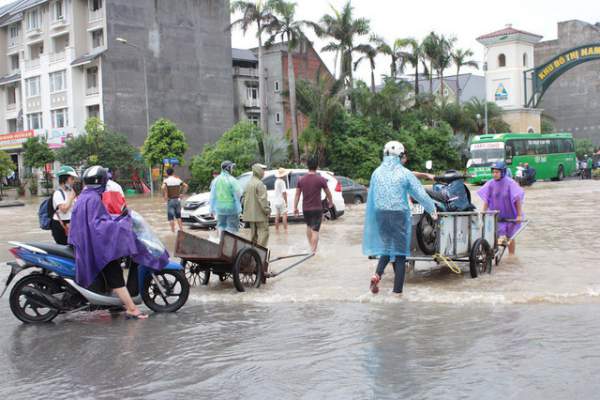 Dịch vụ mò biển số, chở người bằng xe bò “hốt” bạc triệu ngày mưa lũ 5