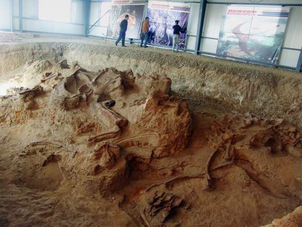Phát hiện hóa thạch “rồng kì diệu” ở Trung Quốc 2