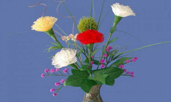 Đón Tết rộn ràng với cách làm hoa cẩm chướng bằng vải voan 6
