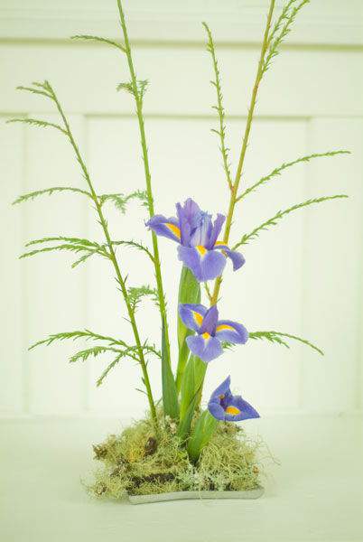 Tết về học cách cắm hoa diên vĩ xanh cho nhà thêm bừng sáng 5